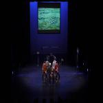 images/Voorstellingsfotos/Van Goghs Way to Go Teenagerversion Eveningconcert/69VanGoghAvond.jpg